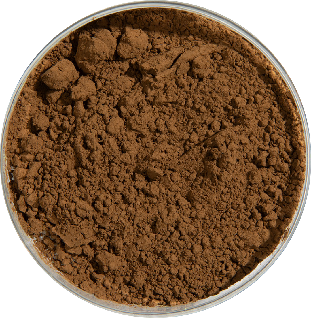 Hojicha Powder