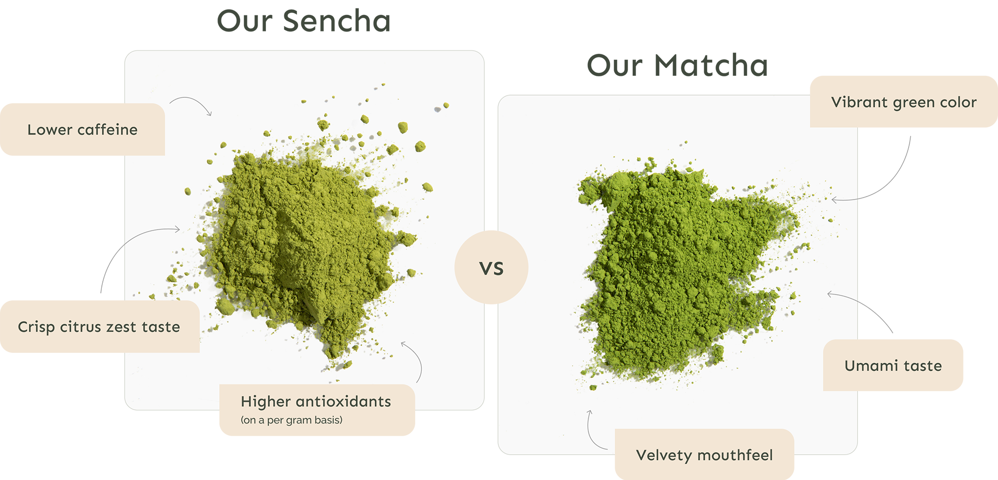 Sencha vs Matcha Comparison