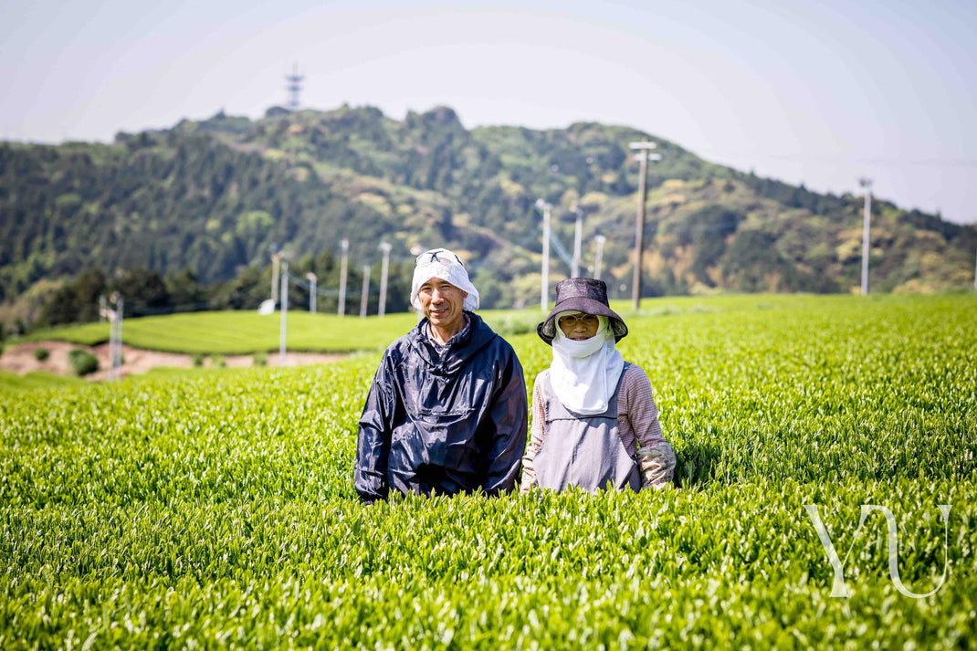 Quality & Standards - The Yu Pledge – Yu Tea